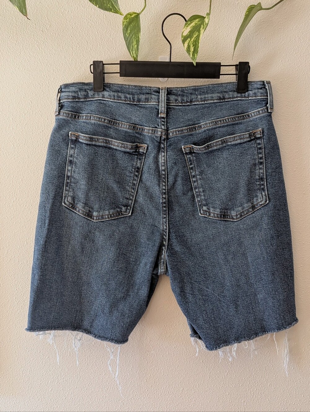 Universal Thread Medium Wash Cutoffs - Picture 2 of 9